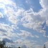 nezer_47