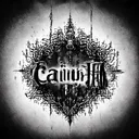 @caiush1