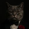 meowkity1