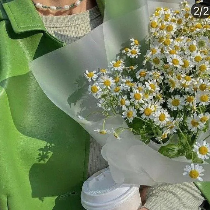 @zainab_1393