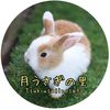 tsukiusagi_sato