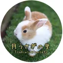 @tsukiusagi_sato