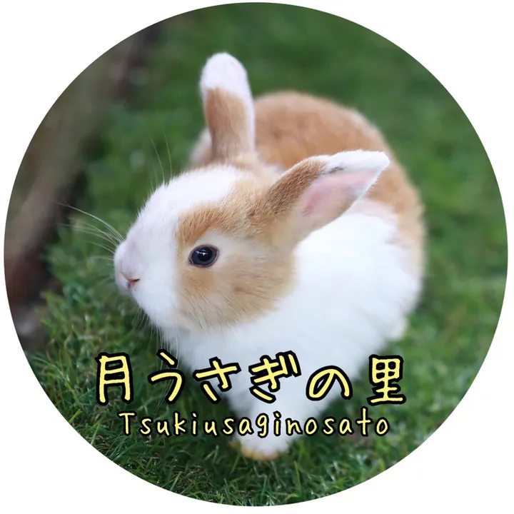 tsukiusagi_sato