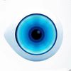big_brother672