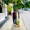 hemal_bus