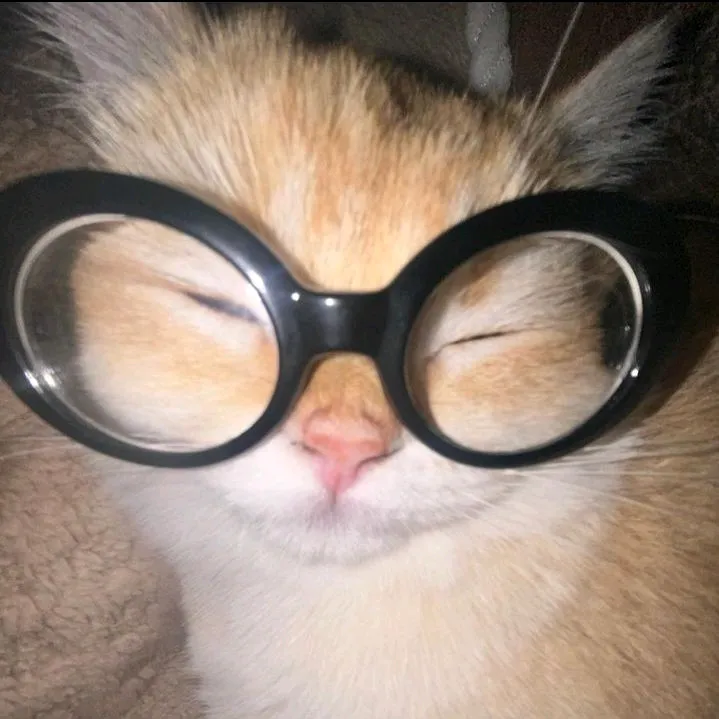 @nshsfyyh