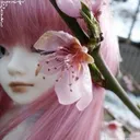@inflo1dzz