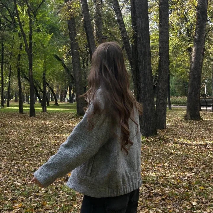 @ankiinss
