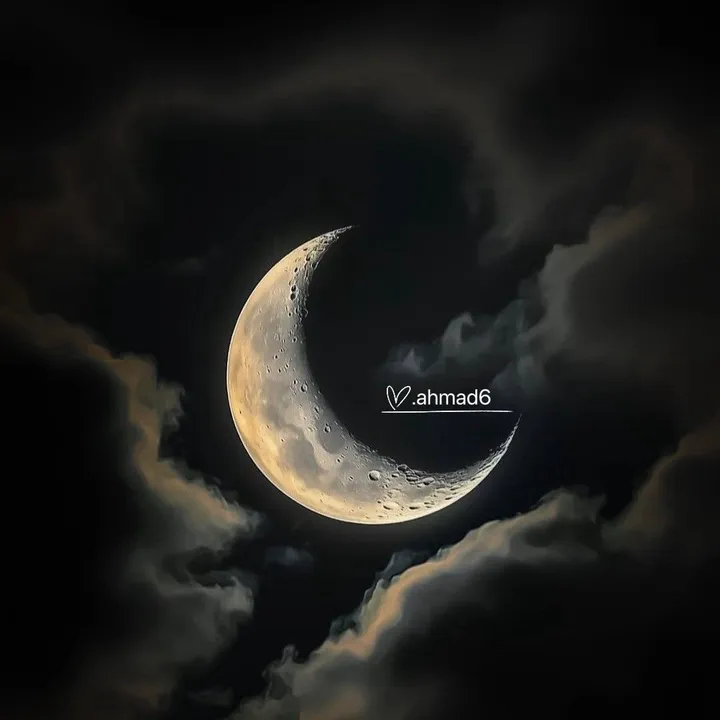 @o.ahmad6