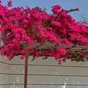 @saritamahato140