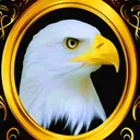 @bald_eagle.1