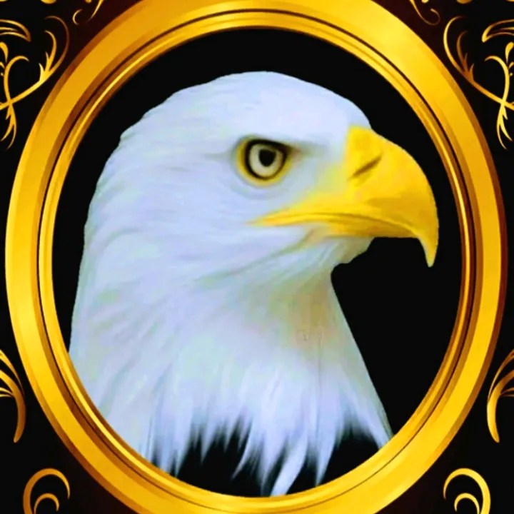 bald_eagle.1