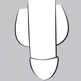 dilacshe3