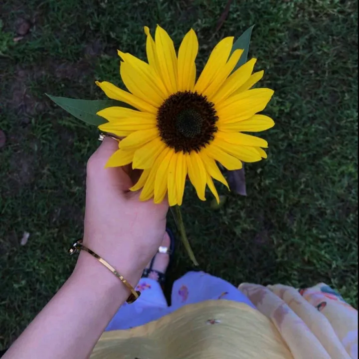 mahira_khan458