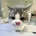 @kimikimiau
