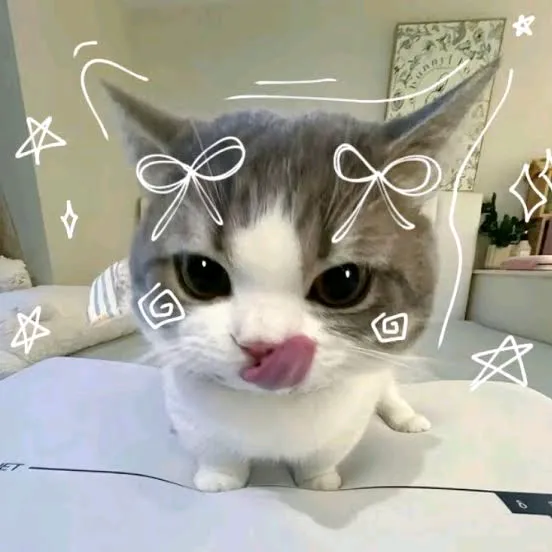 kimikimiau