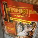 @love_pivo2066