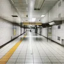 @shining_friend