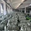 brandclothingwholesale