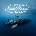 @australiascoralcoast