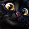 quiz_kitty