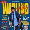 @waglingt
