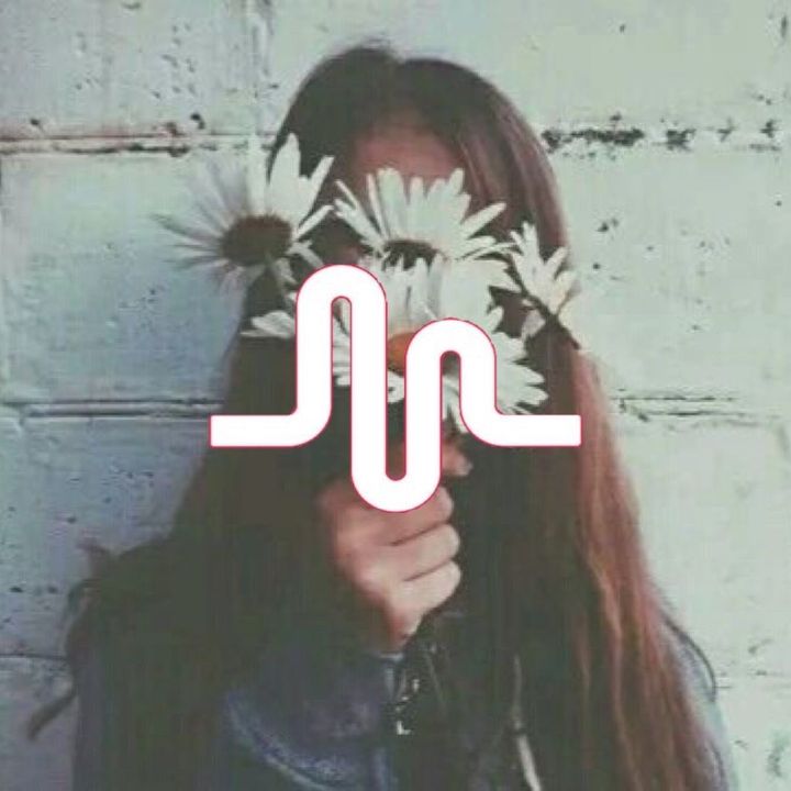 sundog976 - original sound
