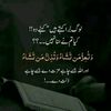 zulrash786