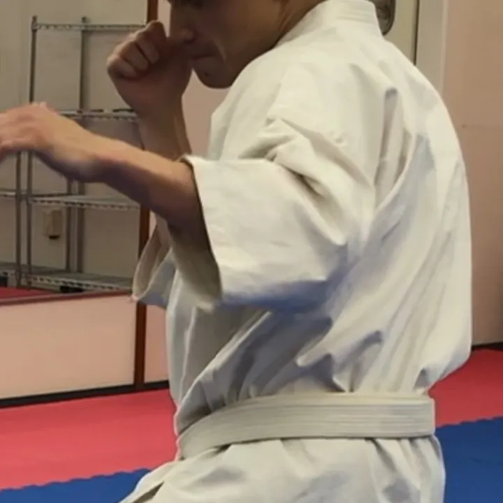 kudodojo