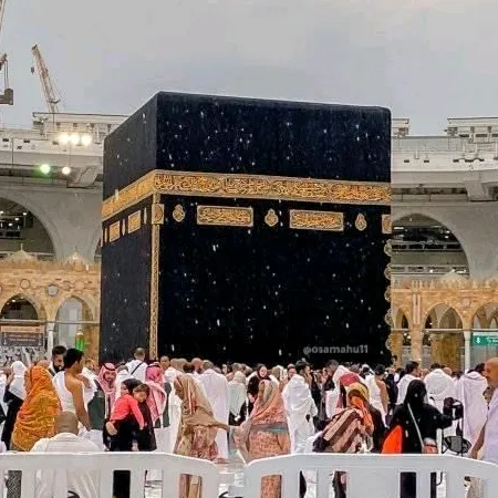 @abdullah1391_