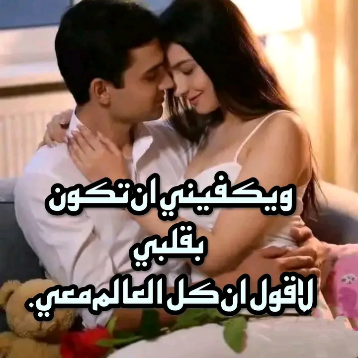 shahabahmed024