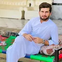 @shaheen.shah.afri937