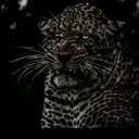 @firuz_067