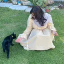 @aams_135