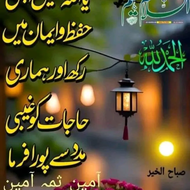 ruhi99775815246197
