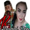 13anjani1