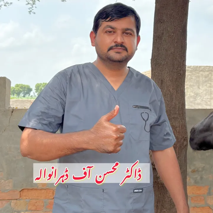 vet.dr.mohsin