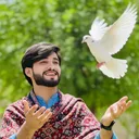 @usmangoldy145