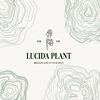 lucidaplant