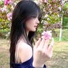 kirara_mingyue