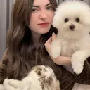 @cl_smiley