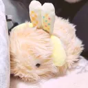 @a_o_i_._._