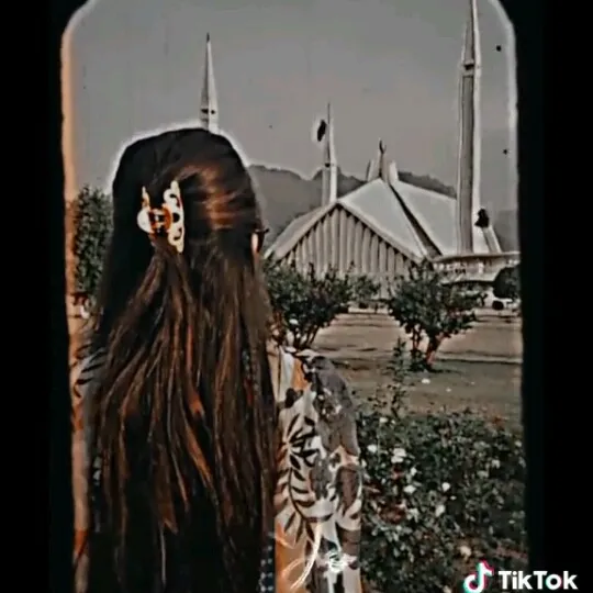 ziddi_girl_786_01