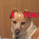 @daisydream56