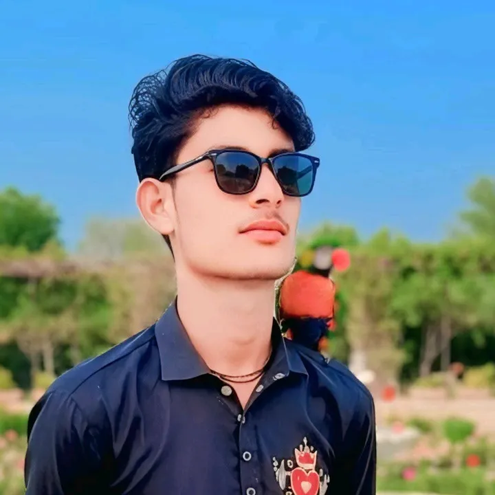dileep.kumar3007