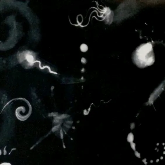 bark_moon