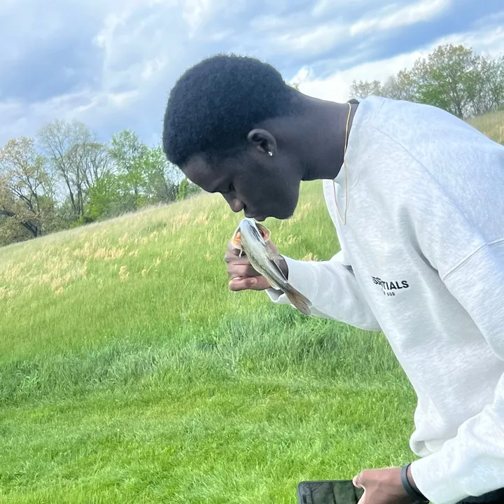 @moustapha.thiam06