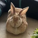 @pistachio687