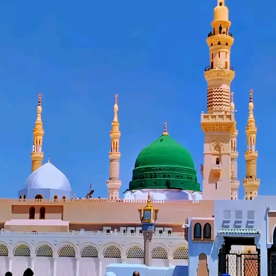 sindhinata7