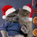 @murka1.andmykis